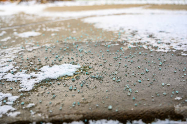 salting services salting services; snow removal